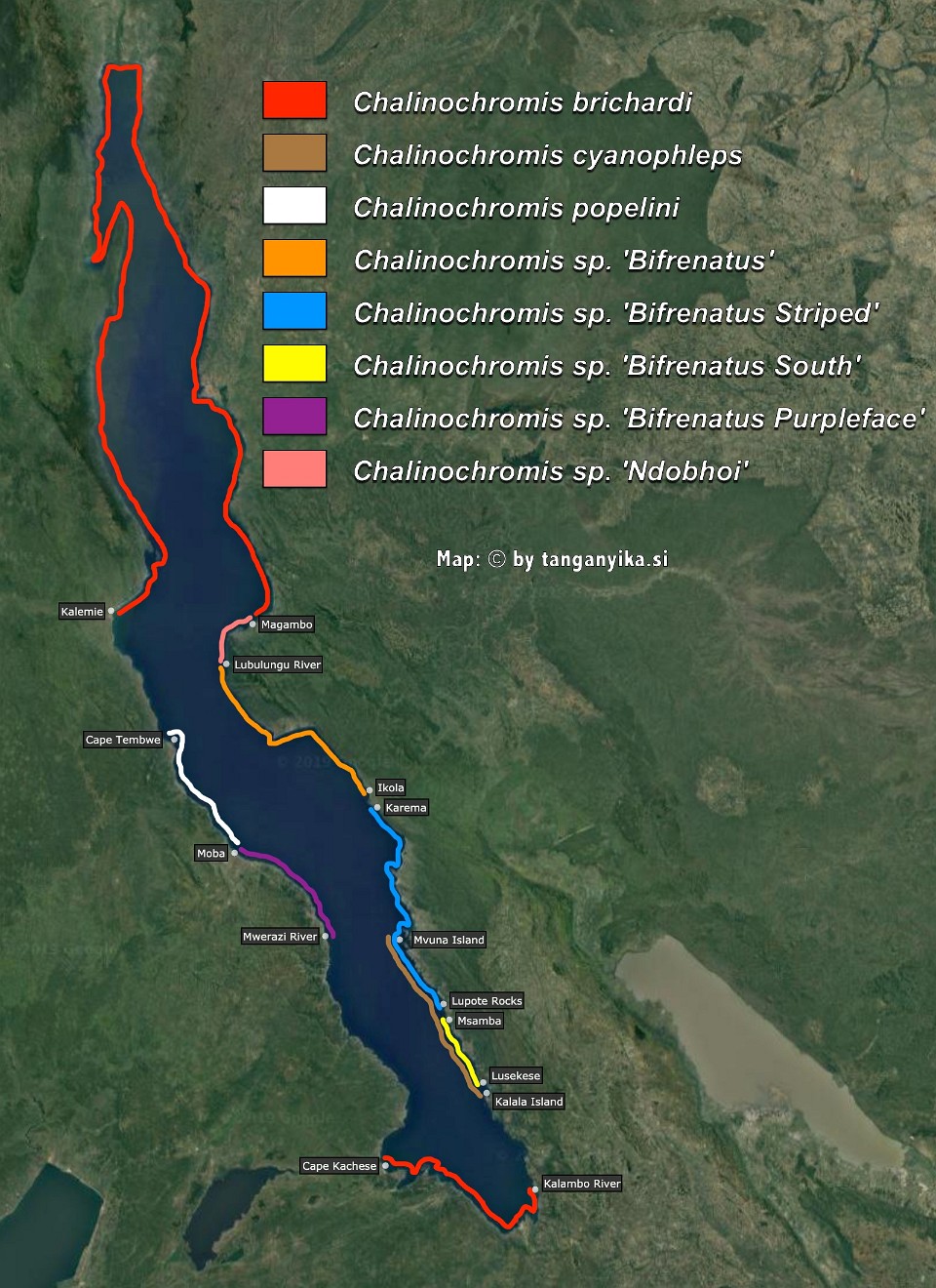 Chalinochromis distribution map by tanganyika.si