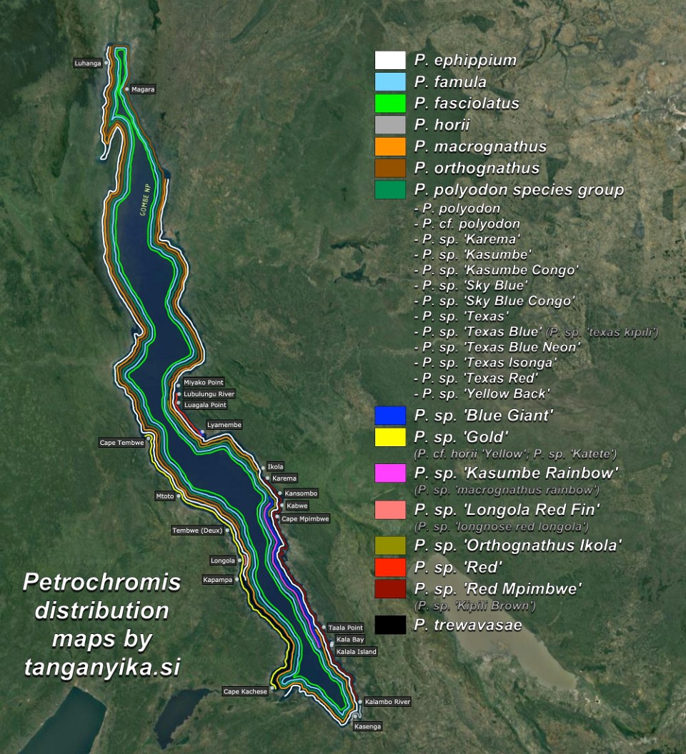 Petrochromis distribution map by tanganyika.si