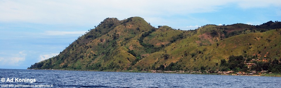 Cape Caramba, Lake Tanganyika, DR Congo