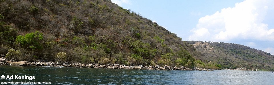 Kabwe Nsolo, Lake Tanganyika, Zambia