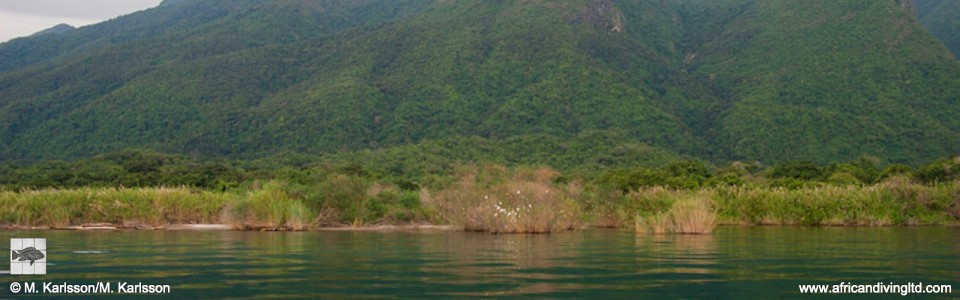 Lubulungu River, Lake Tanganyika, Tanzania