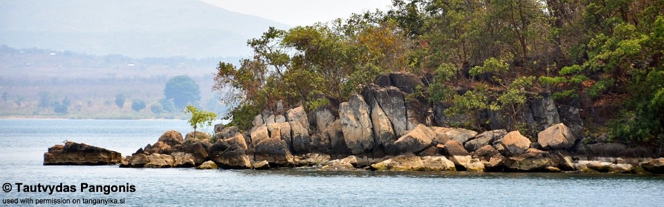 Masaka Point, Lake Tanganyika, Tanzania
