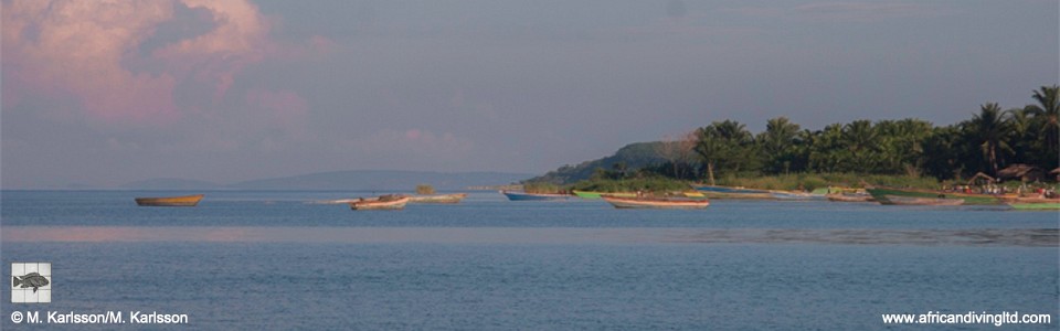 Moyobozi, Lake Tanganyika, Tanzania