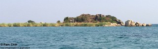 Kalela Island.jpg