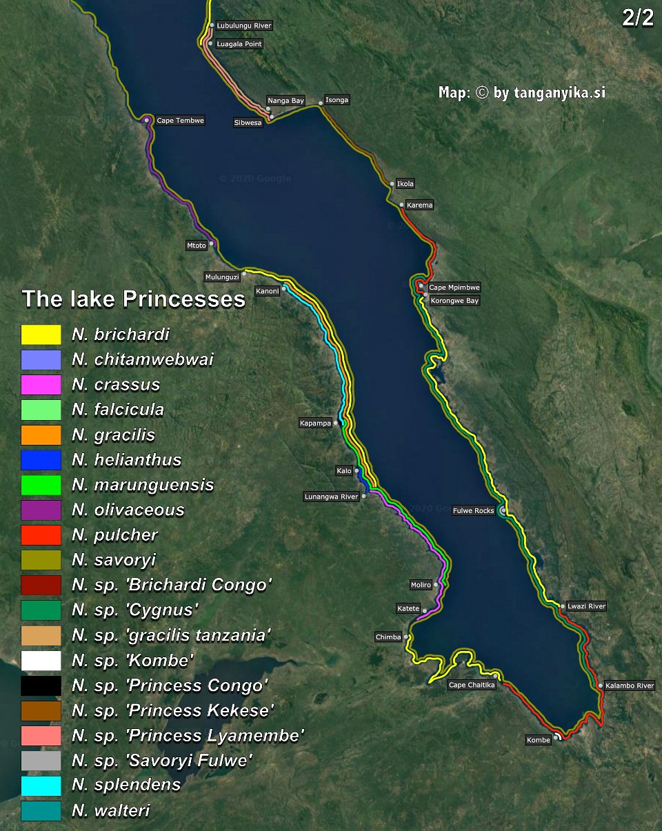 The lake Princesses (2/2)