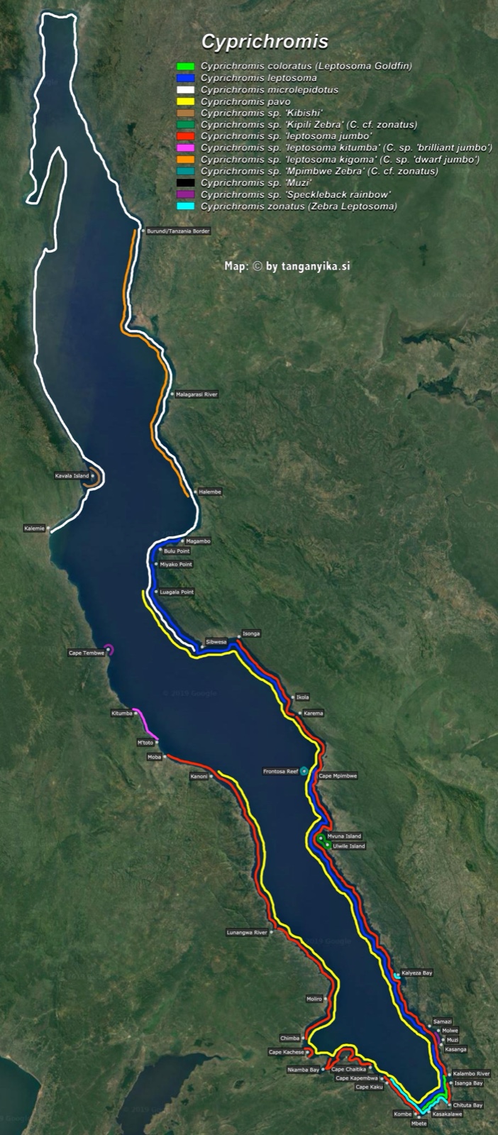 Cyprichromis distribution map by tanganyika.si distribution map
