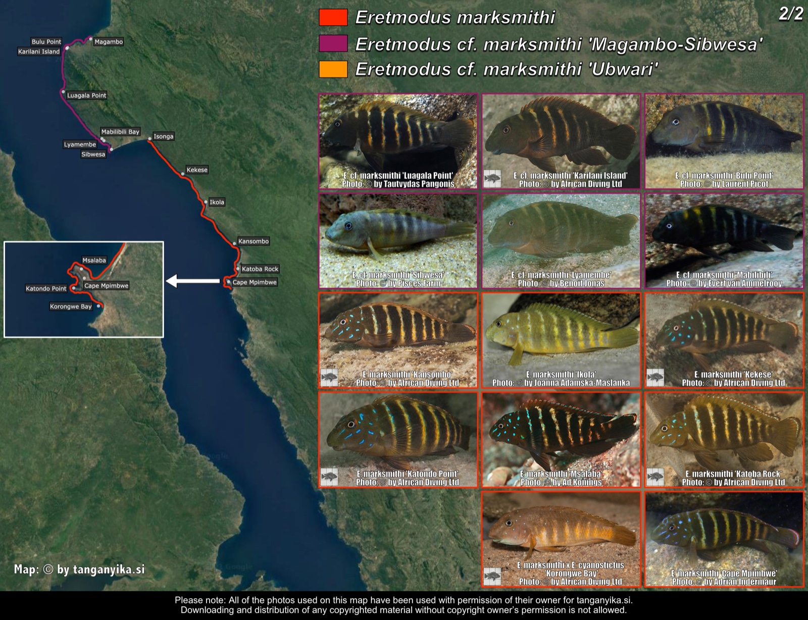 Eretmodus marksmithi (2/2) distribution map