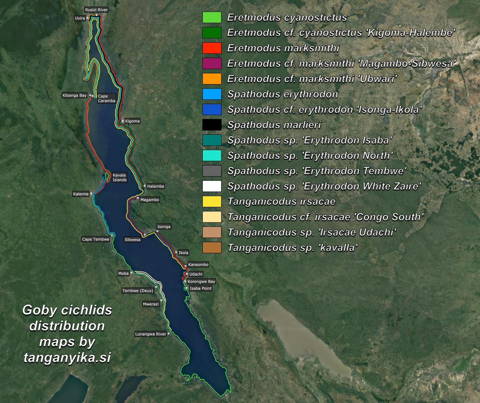 Goby cichlids distribution maps by tanganyika.si distribution map