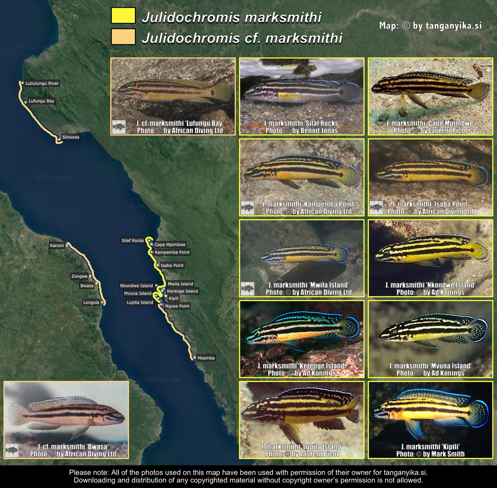 Julidochromis marksmithi & Julidochromis cf. marksmithi distribution map