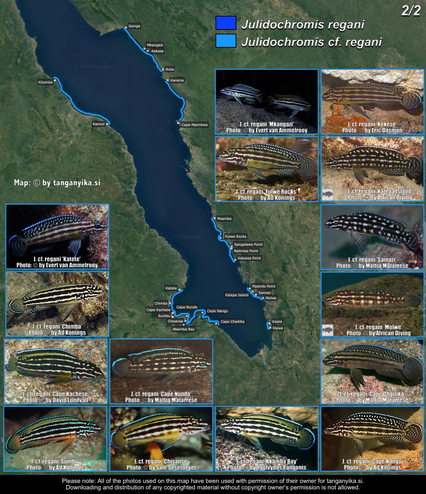 Julidochromis regani & Julidochromis cf. regani (2/2) distribution map