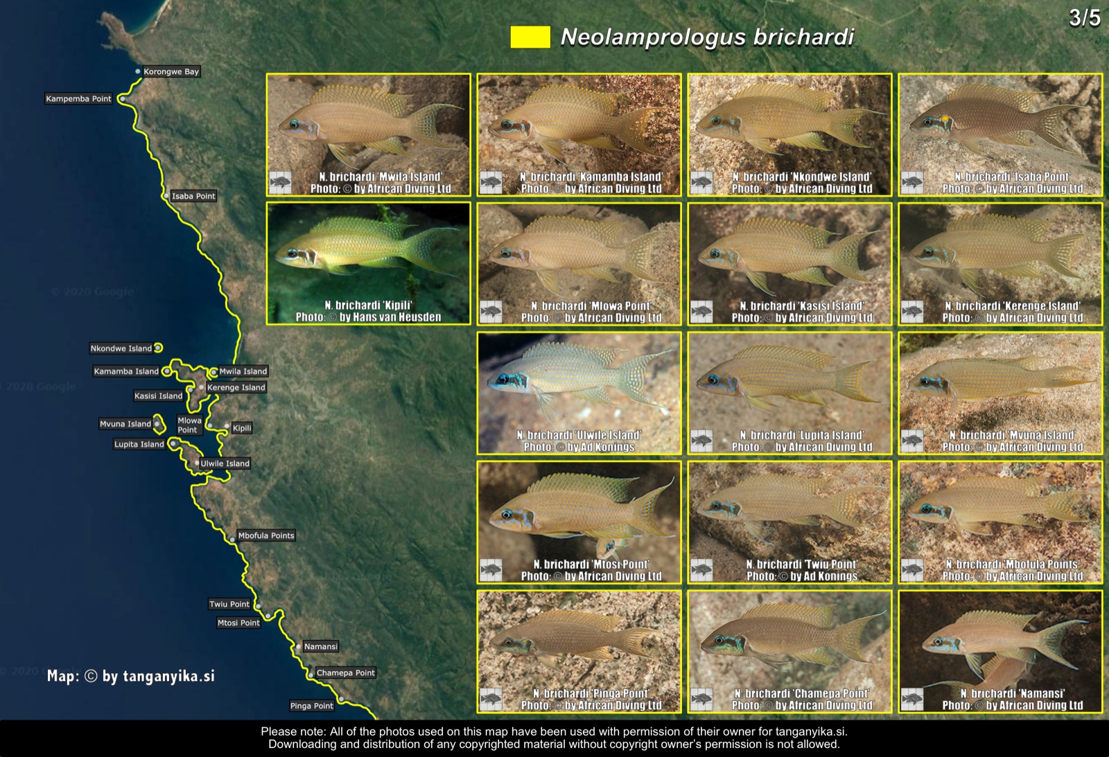 Neolamprologus brichardi (3/5) distribution map