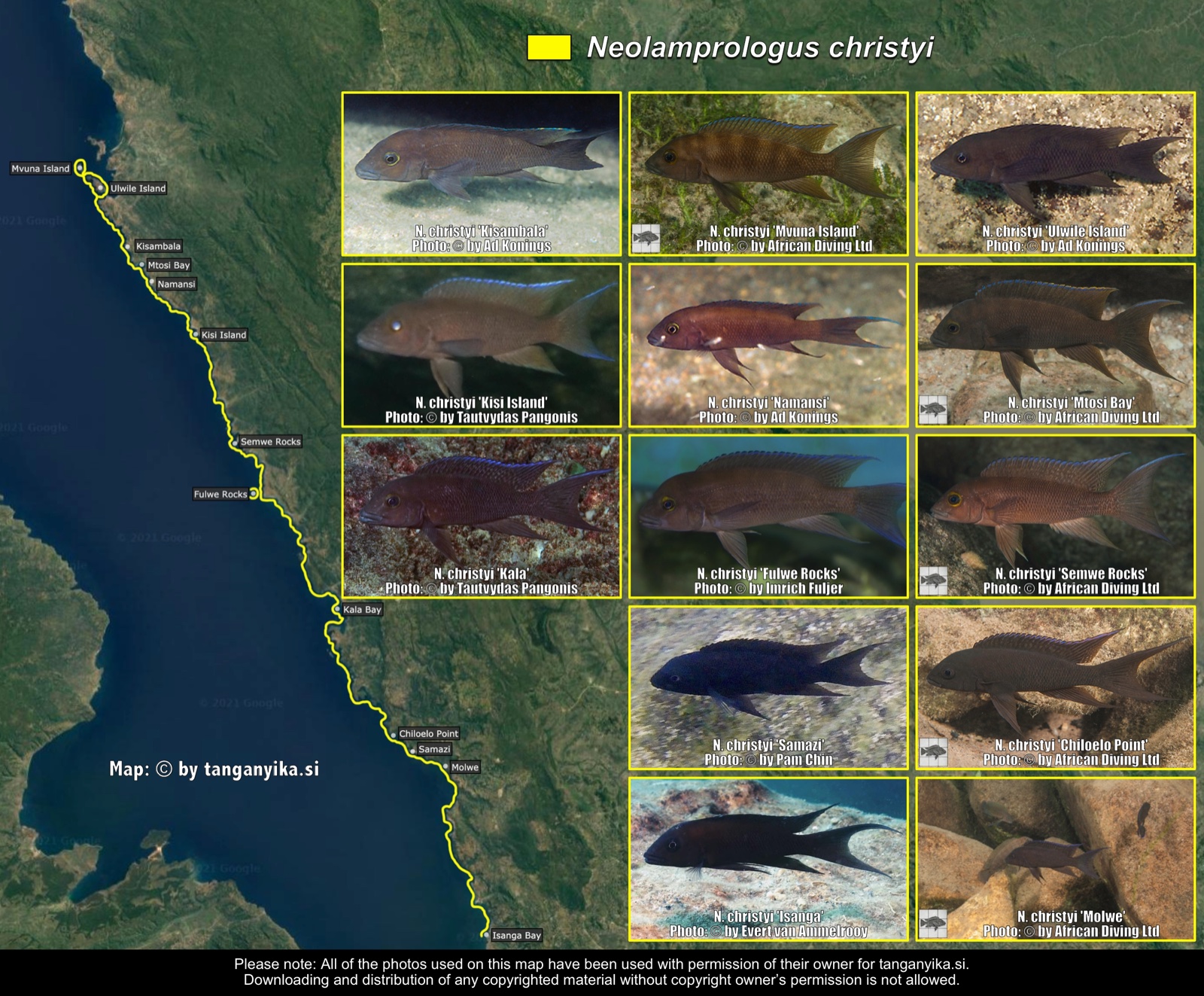 Neolamprologus christyi distribution map