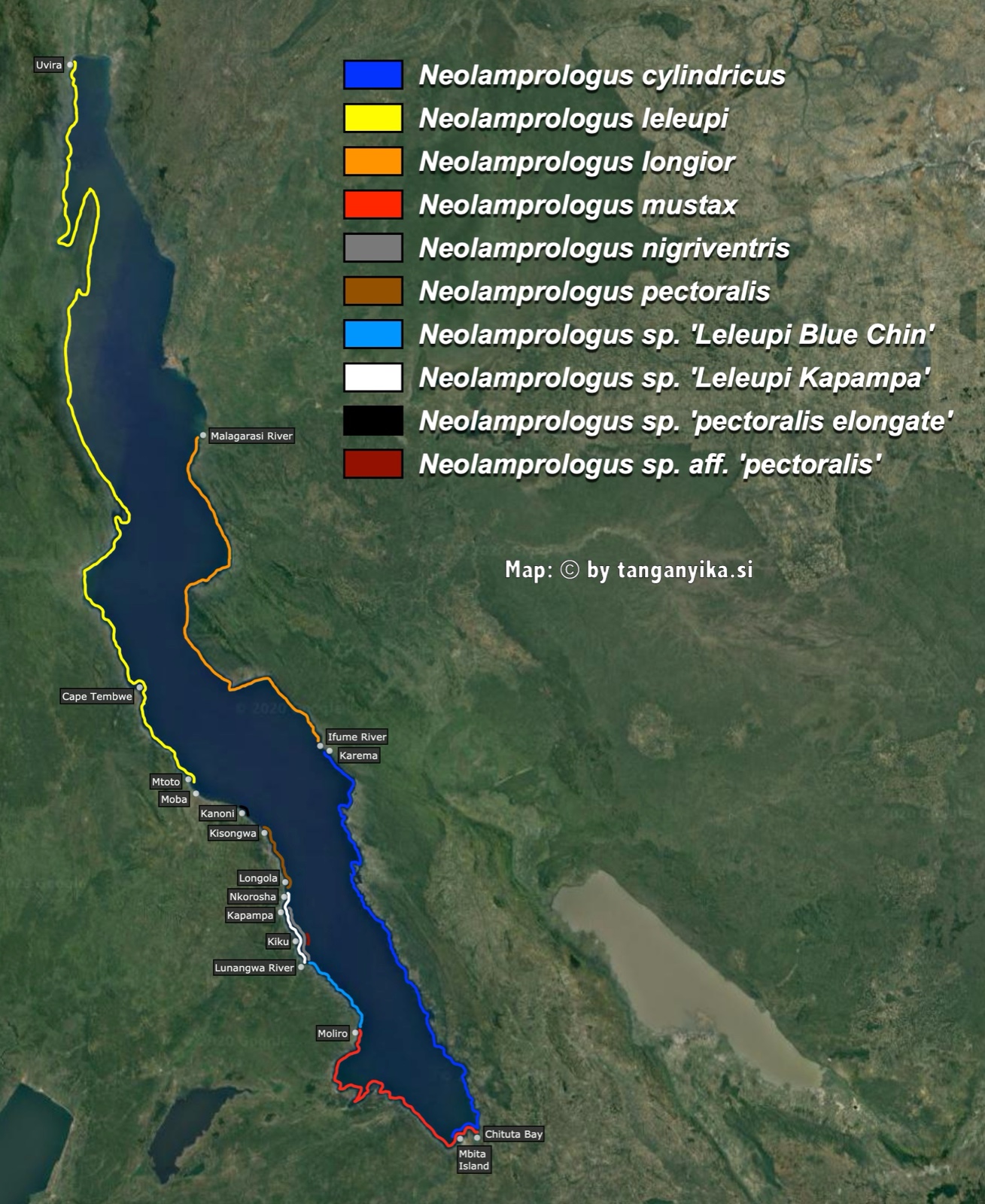Neolamprologus cylindricus, N. leleupi & N. leleupi-like, N. longior, N. mustax, N. nigriventris, N. pectoralis & N. pectoralis-like distribution map