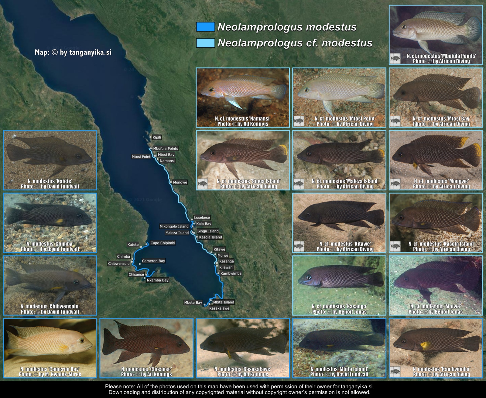 Neolamprologus modestus & Neolamprologus cf. modestus distribution map