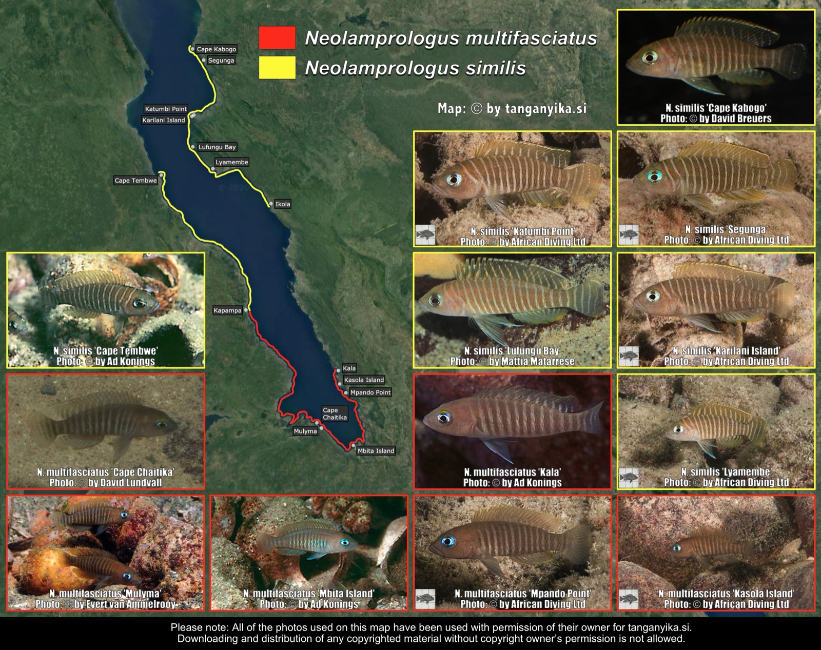 Neolamprologus multifasciatus & Neolamprologus similis distribution map
