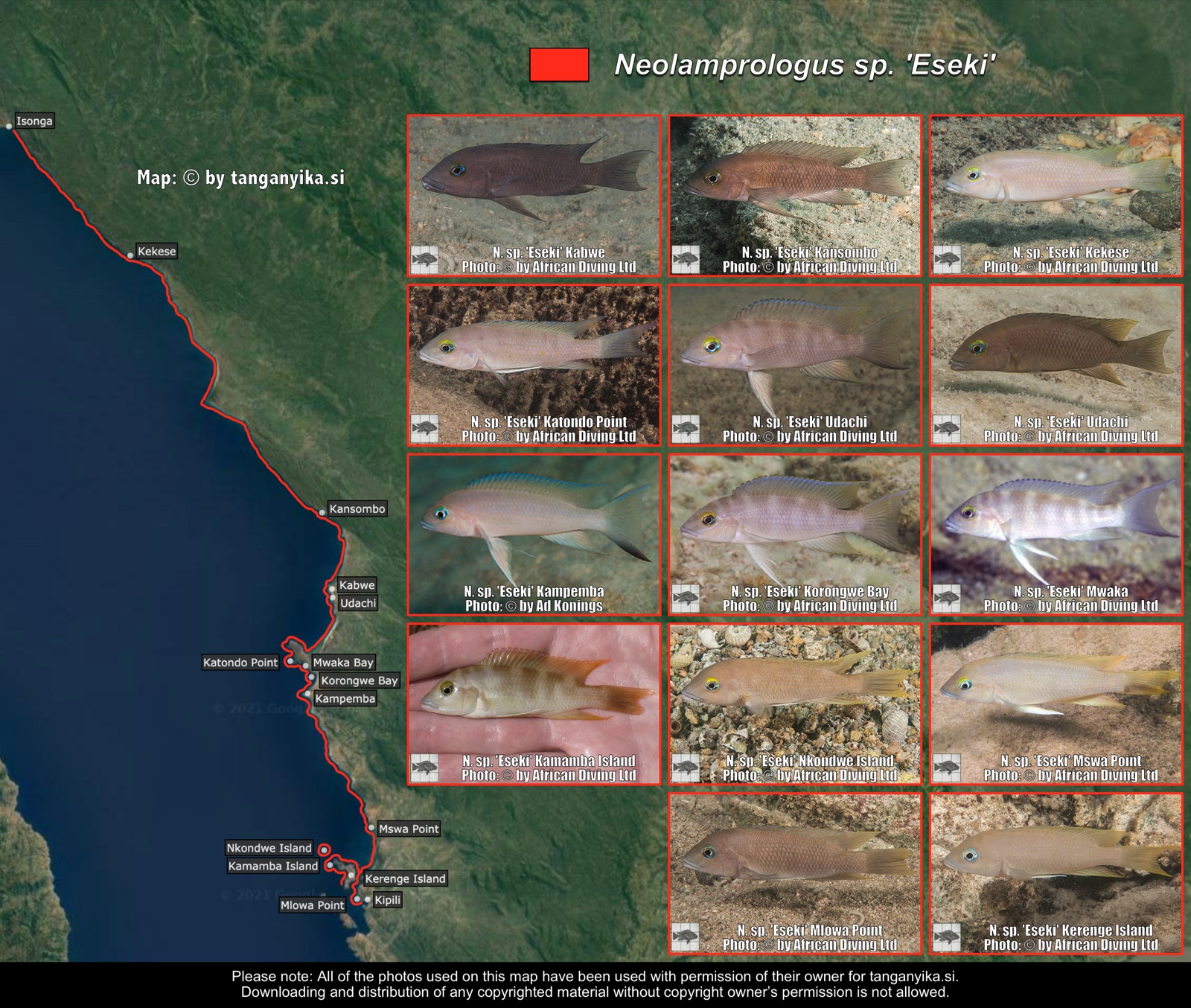 Neolamprologus sp. 'Eseki' distribution map
