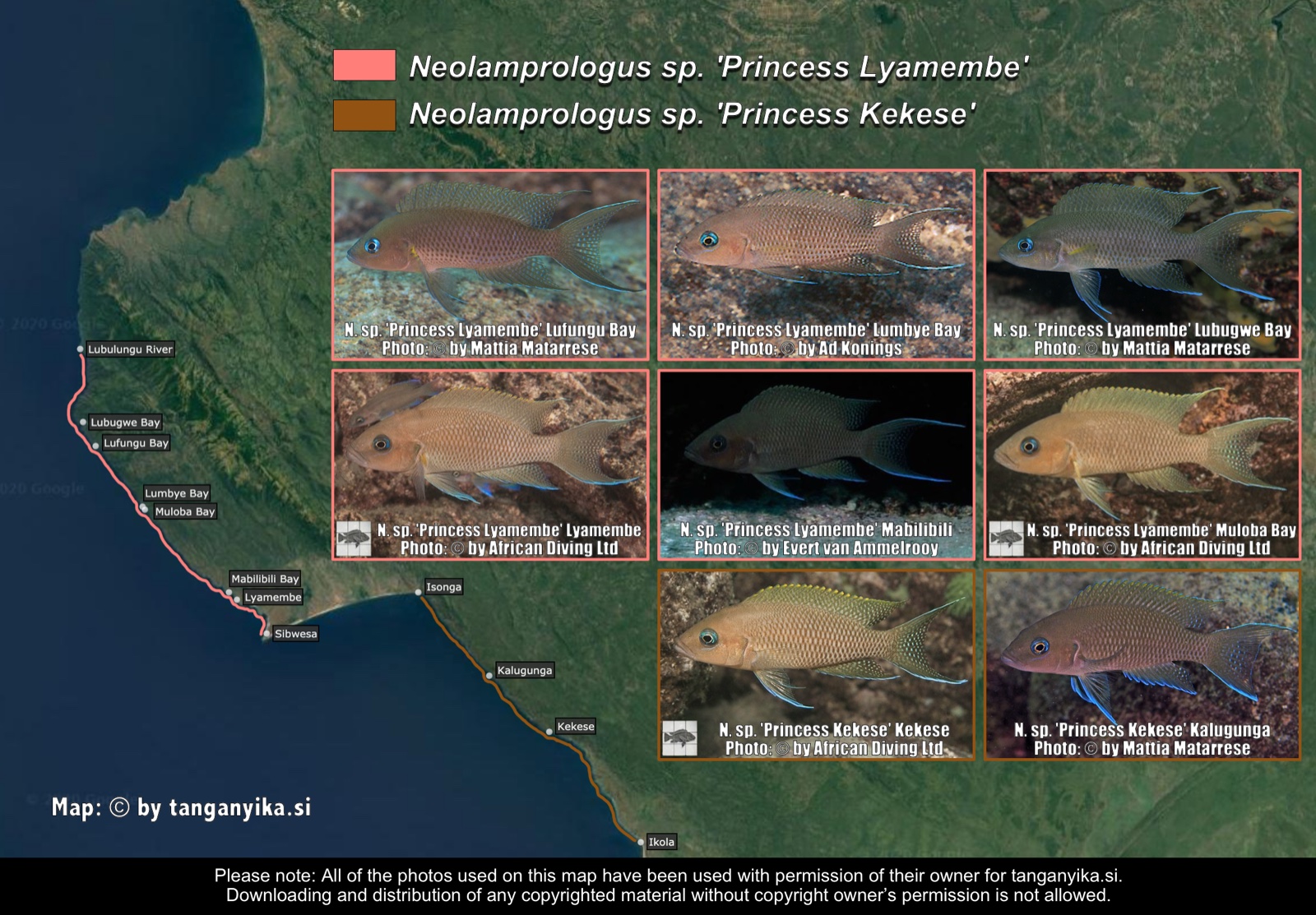 Neolamprologus sp. 'Princess Lyamembe' & Neolamprologus sp. 'Princess Kekese' distribution map