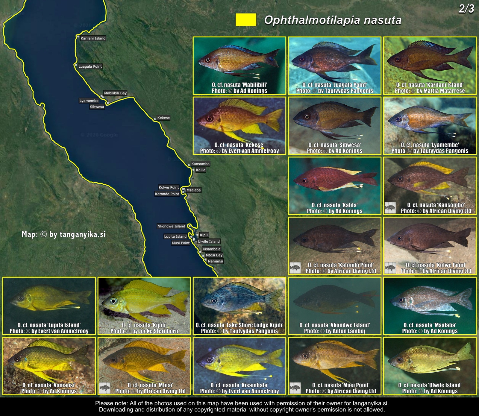 Ophthalmotilapia nasuta (2/3) distribution map