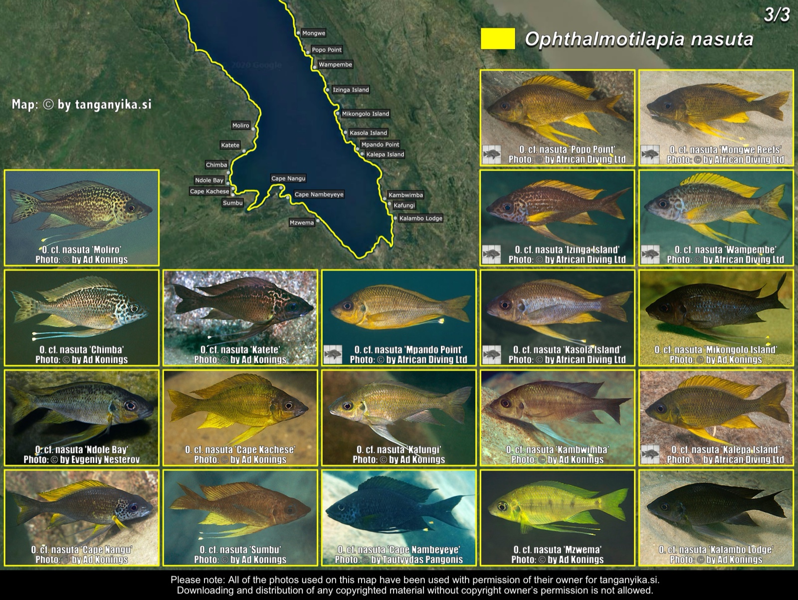 Ophthalmotilapia nasuta (3/3) distribution map