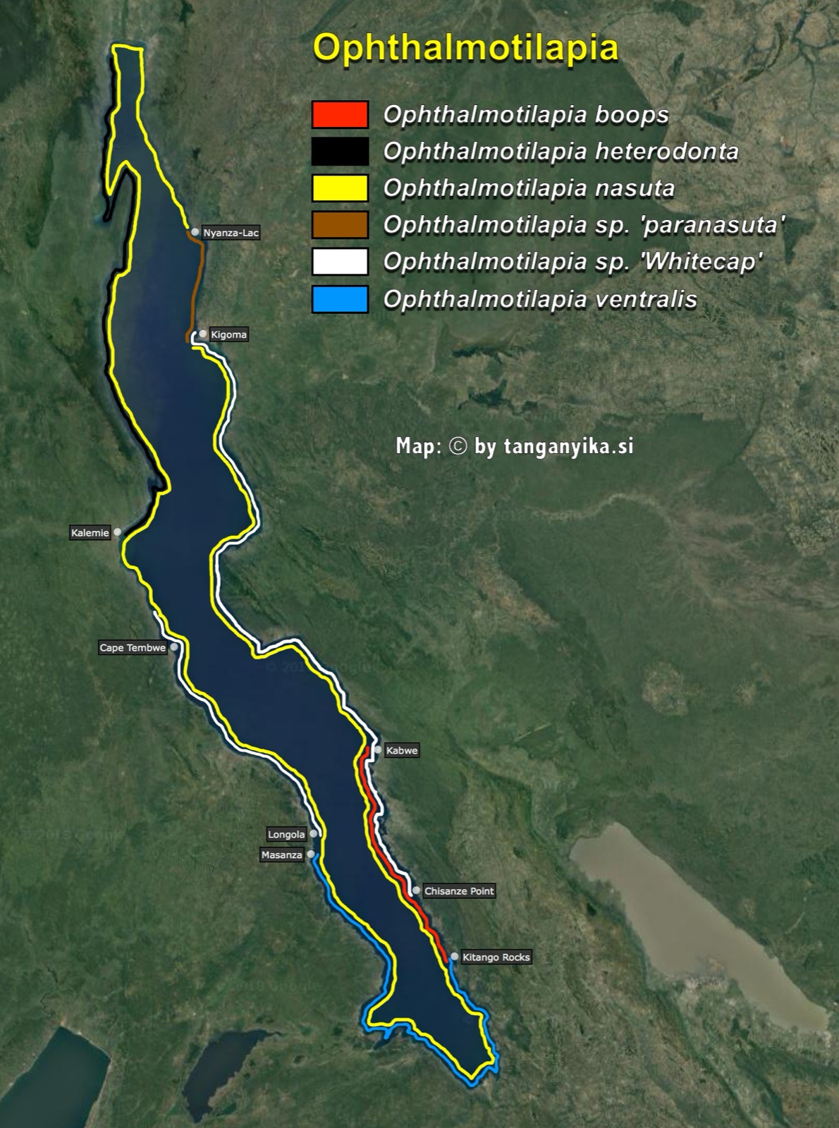 Ophthalmotilapia distribution map by tanganyika.si distribution map