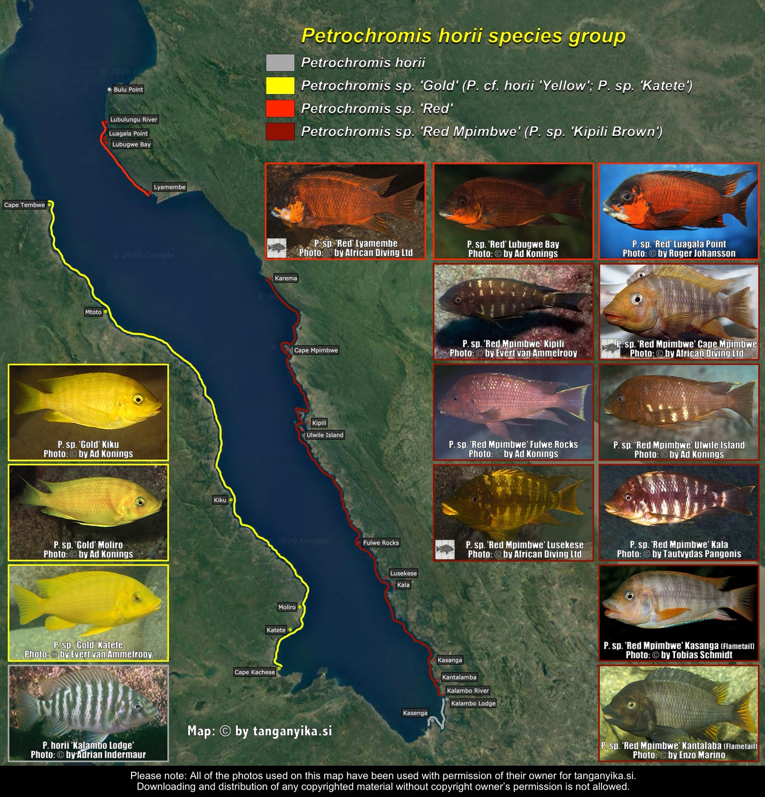 Petrochromis horii species group distribution map