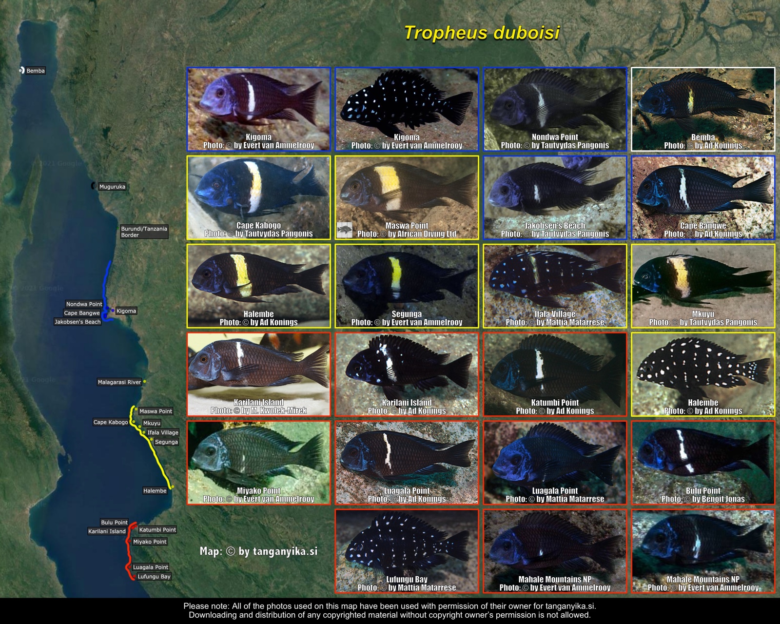 Tropheus duboisi distribution map