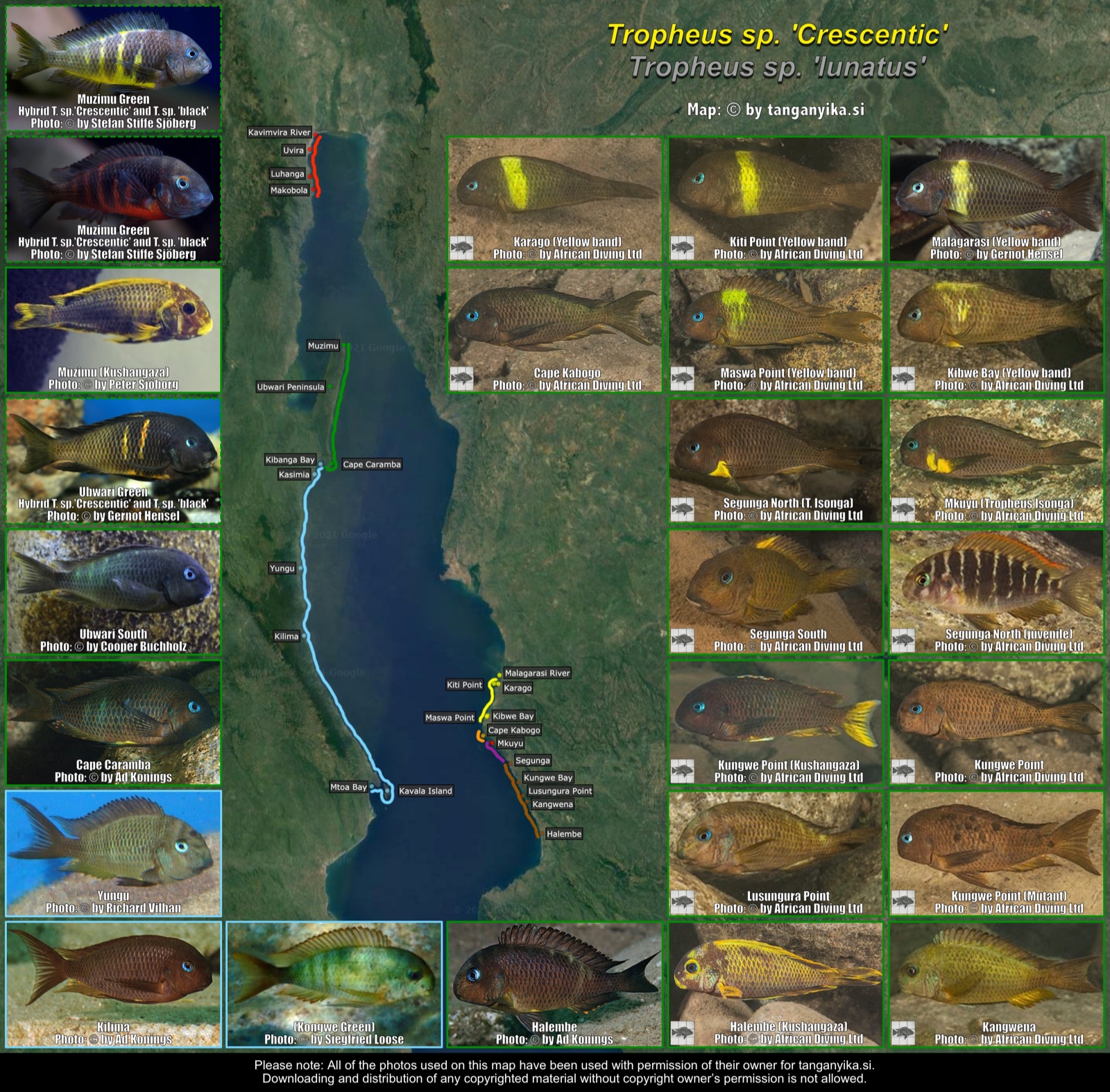 Tropheus sp. 'Crescentic' distribution map