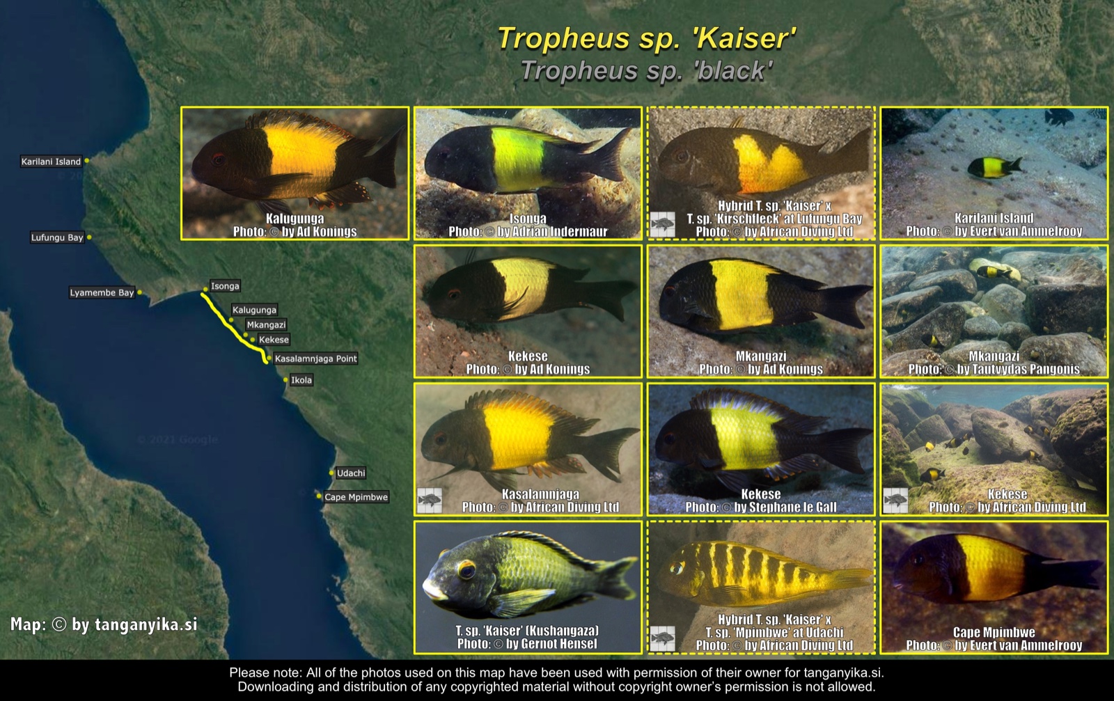 Tropheus sp. 'Kaiser' distribution map