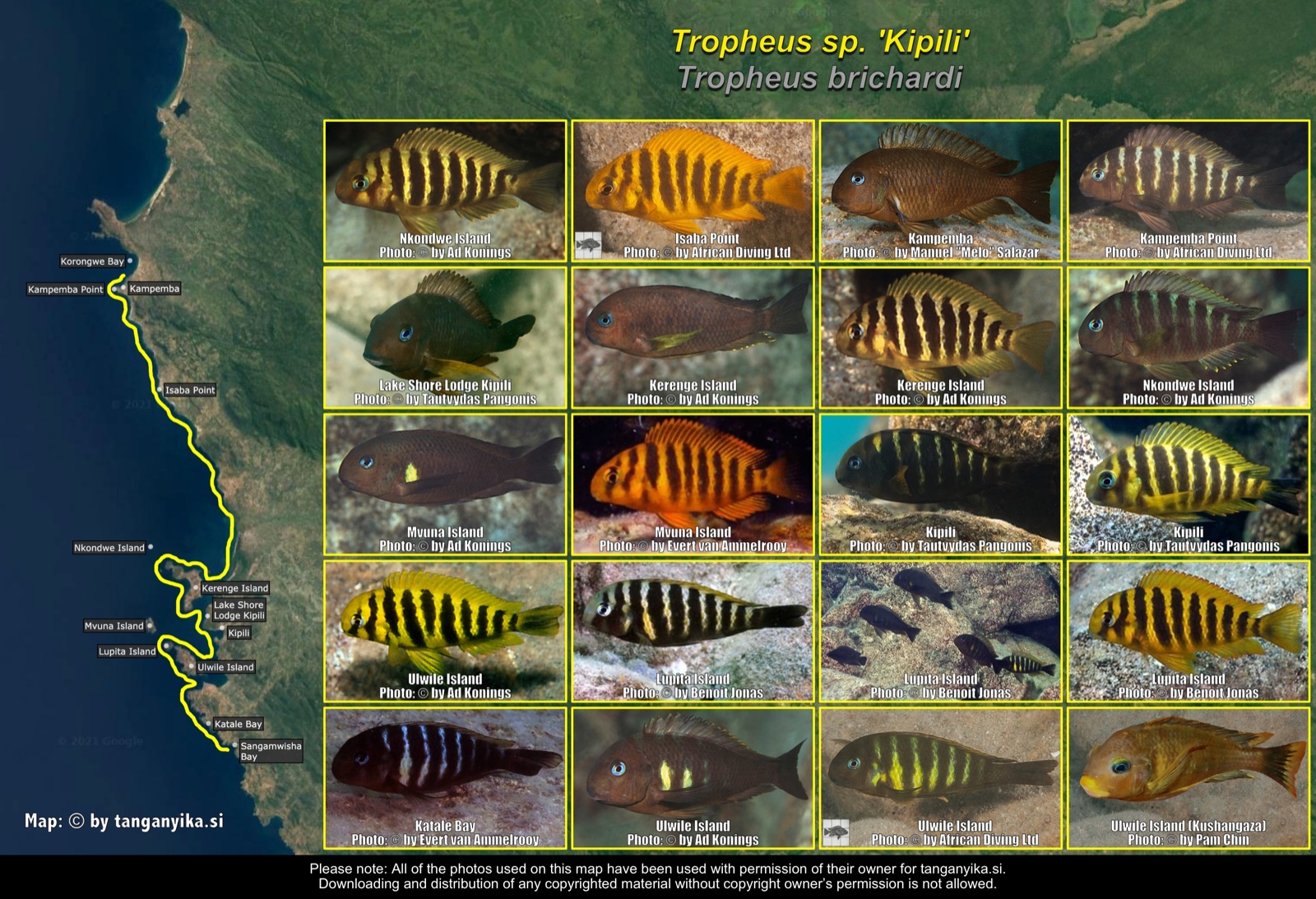 Tropheus sp. 'Kipili' distribution map