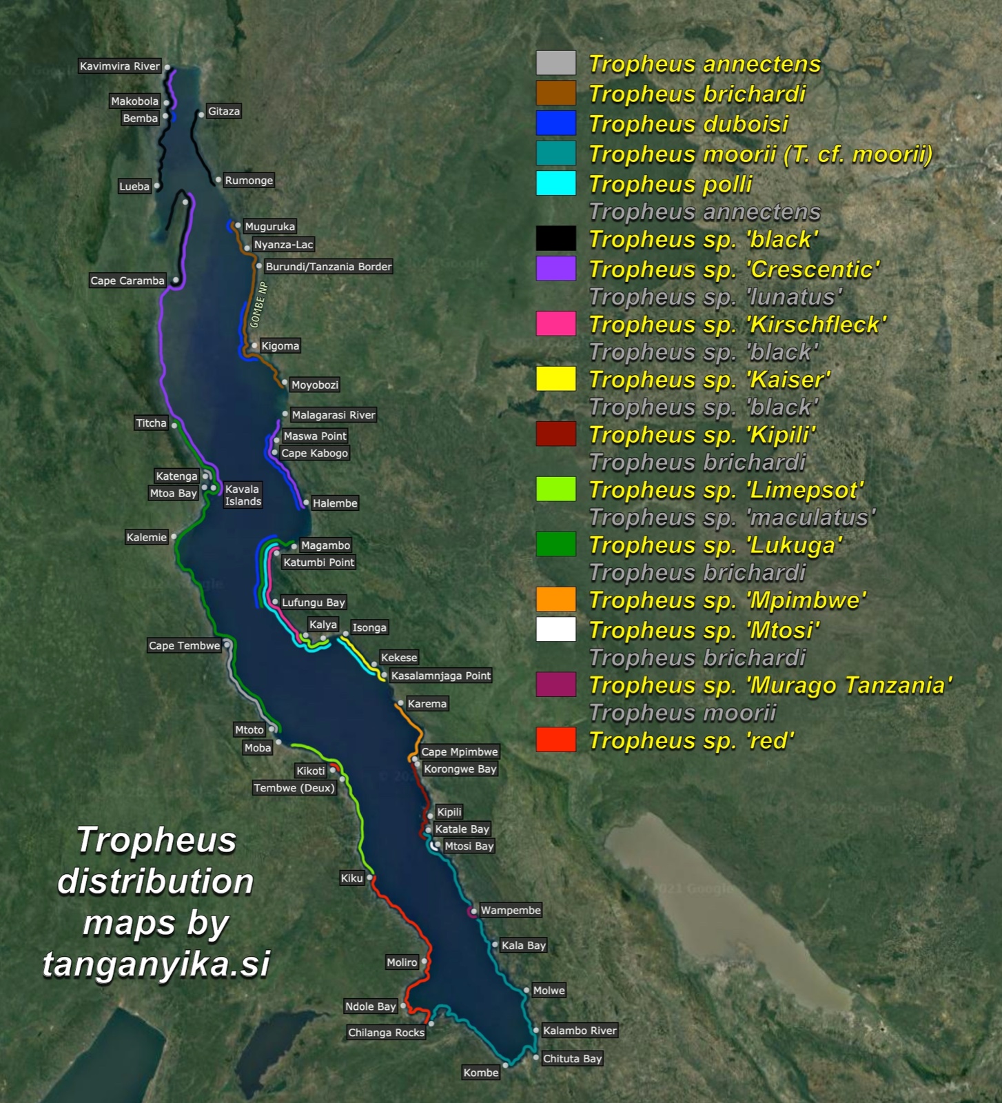 Tropheus distribution maps by tanganyika.si distribution map