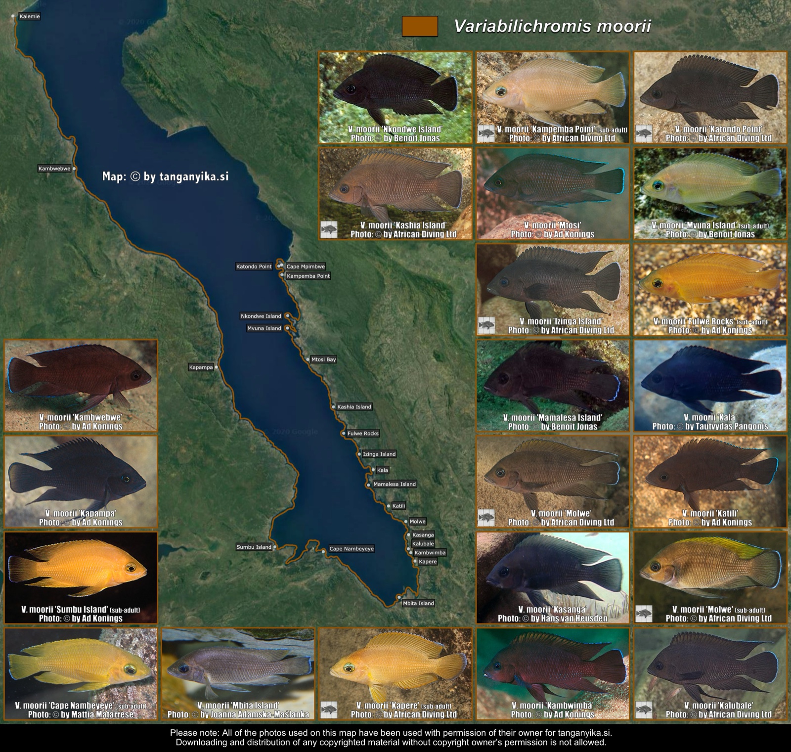 Variabilichromis moorii distribution map