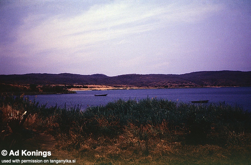 Moliro, Lake Tanganyika, DR Congo