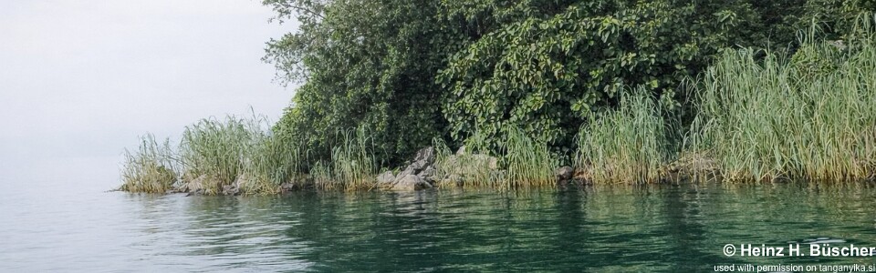 Wonzye Point., Lake Tanganyika, Zambia
