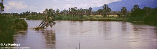 Ruzizi River.jpg