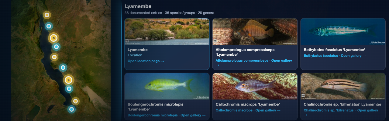 Lake Tanganyika Species Interactive Map
