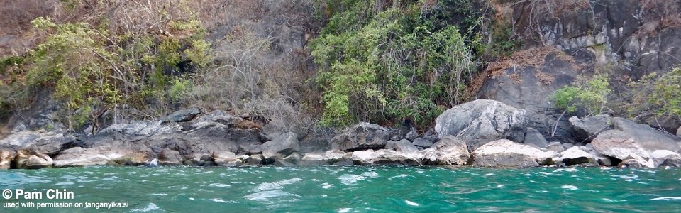 Bondola Bay, Lake Tanganyika, Tanzania