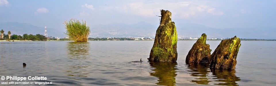 Bujumbura, Lake Tanganyika, Burundi
