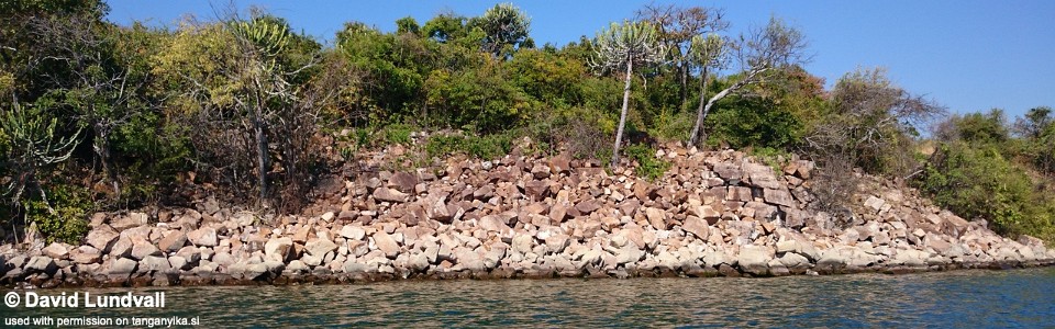 Cape Kachese, Lake Tanganyika, Zambia