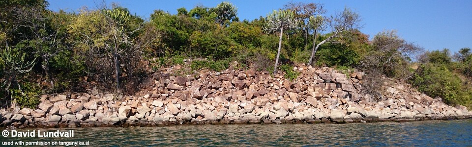 Cape Kachese, Lake Tanganyika, Zambia