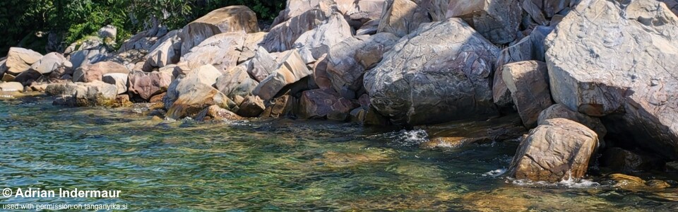 Cape Kapembwa, Lake Tanganyika, Zambia