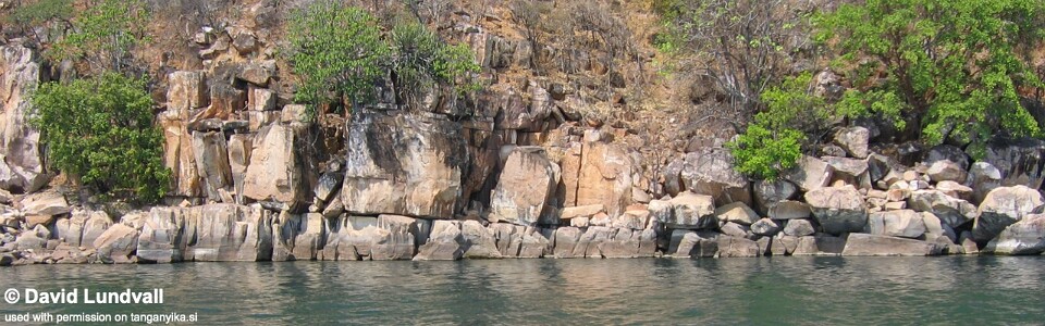 Chituta Bay, Lake Tanganyika, Zambia