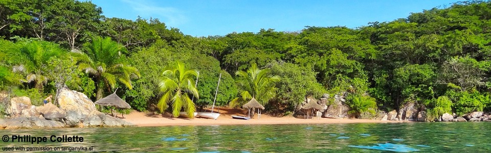 Jakobsen's Beach, Lake Tanganyika, Tanzania