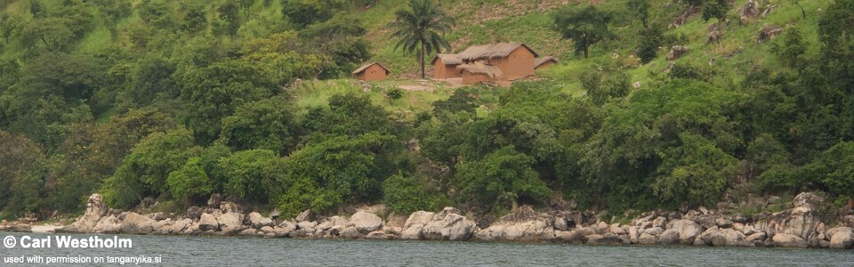 Kanania, Lake Tanganyika, Tanzania