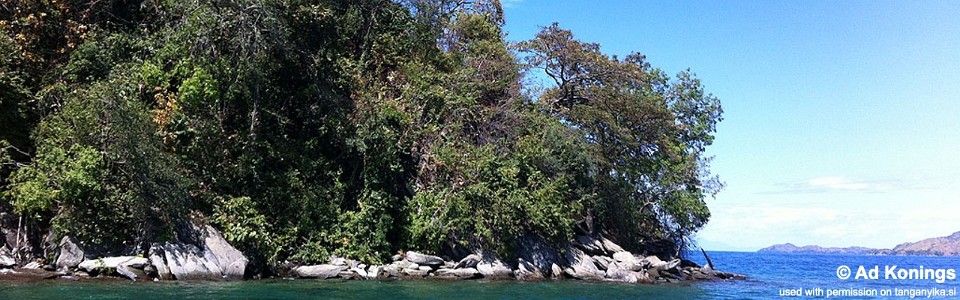 Kawasindi Island, Lake Tanganyika, DR Congo