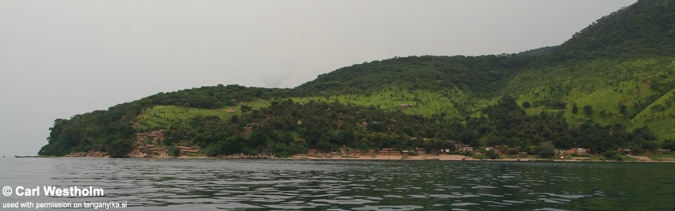 Kazinga, Lake Tanganyika, Tanzania