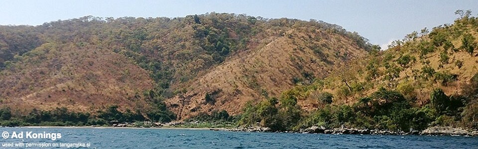 Mkangazi, Lake Tanganyika, Tanzania