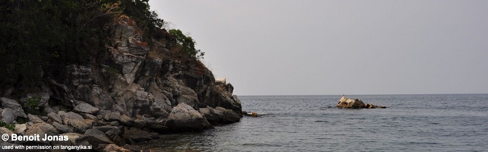 Mkuyu Point, Lake Tanganyika, Tanzania