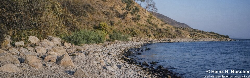 Mupapa, Lake Tanganyika, Zambia 