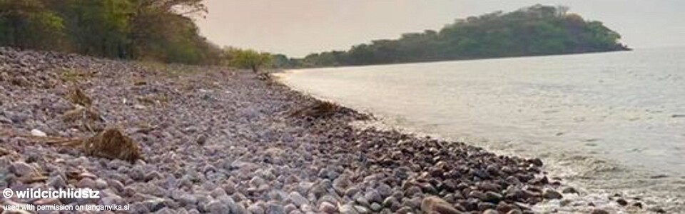 Mzungu Beach, Lake Tanganyika, Tanzania