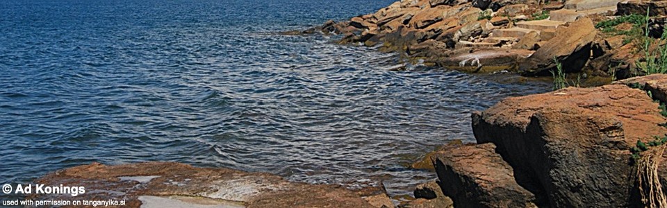 Nyanza-Lac, Lake Tanganyika, Burundi